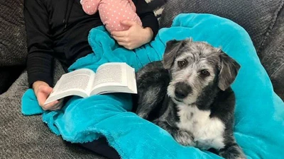 My Mob Programming Journey featured image